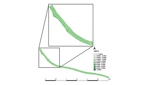 드론 영상을 활용한 온천천 홍수터 NDVI 산정 결과